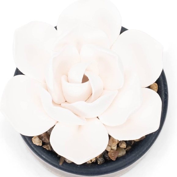 Demdaco Succulent 3 x 5 Stoneware Decorative Tabletop Oil Diffuser - Picture 4 of 11